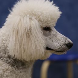 photograph by PeterW